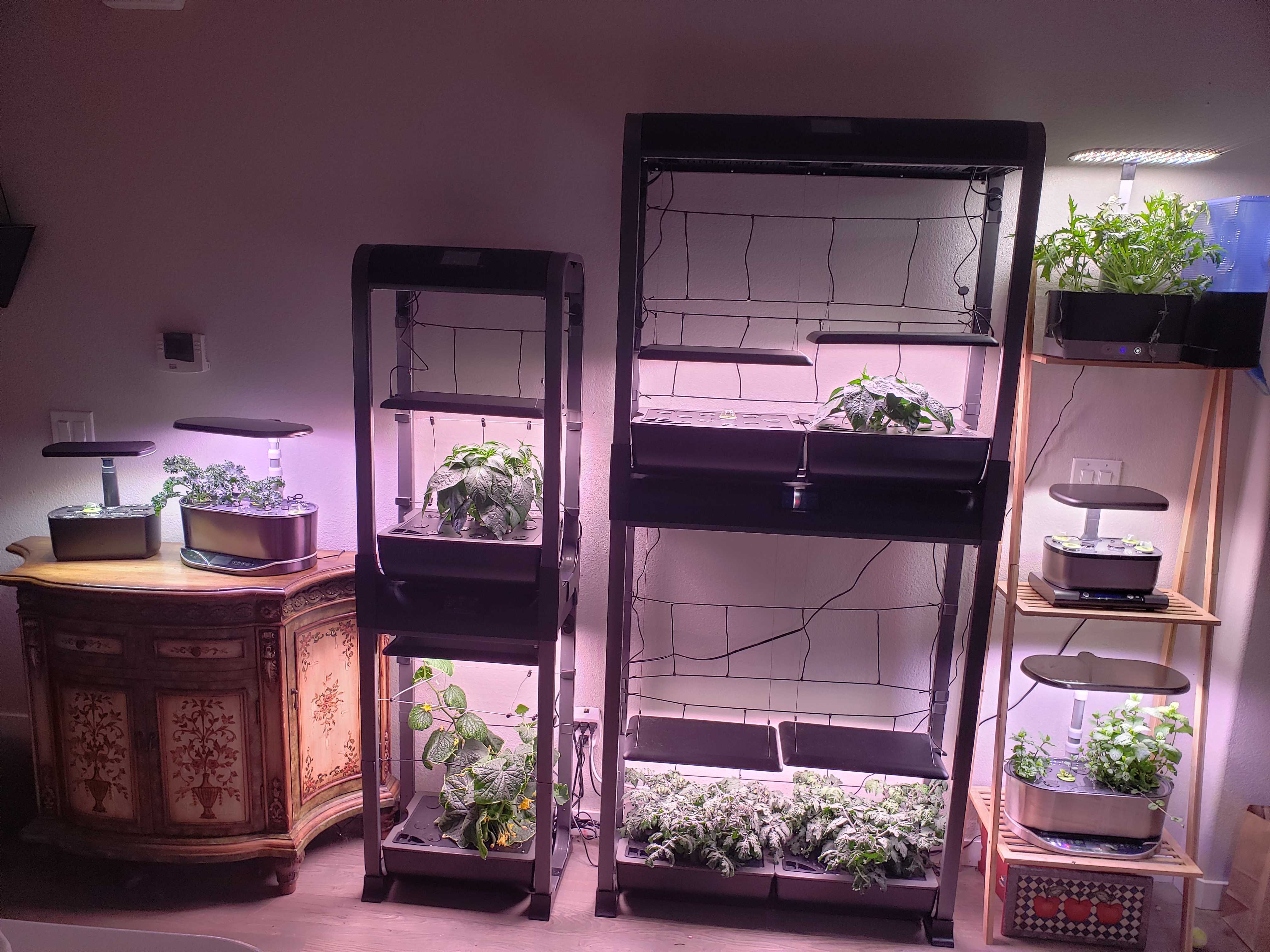 grow wall