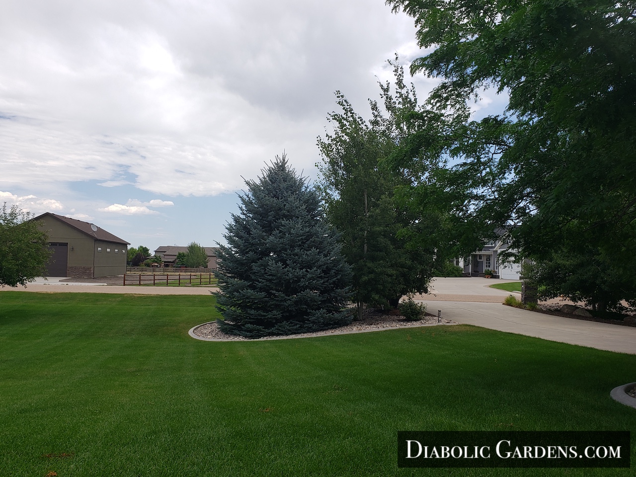 DGF Linda - East front yard