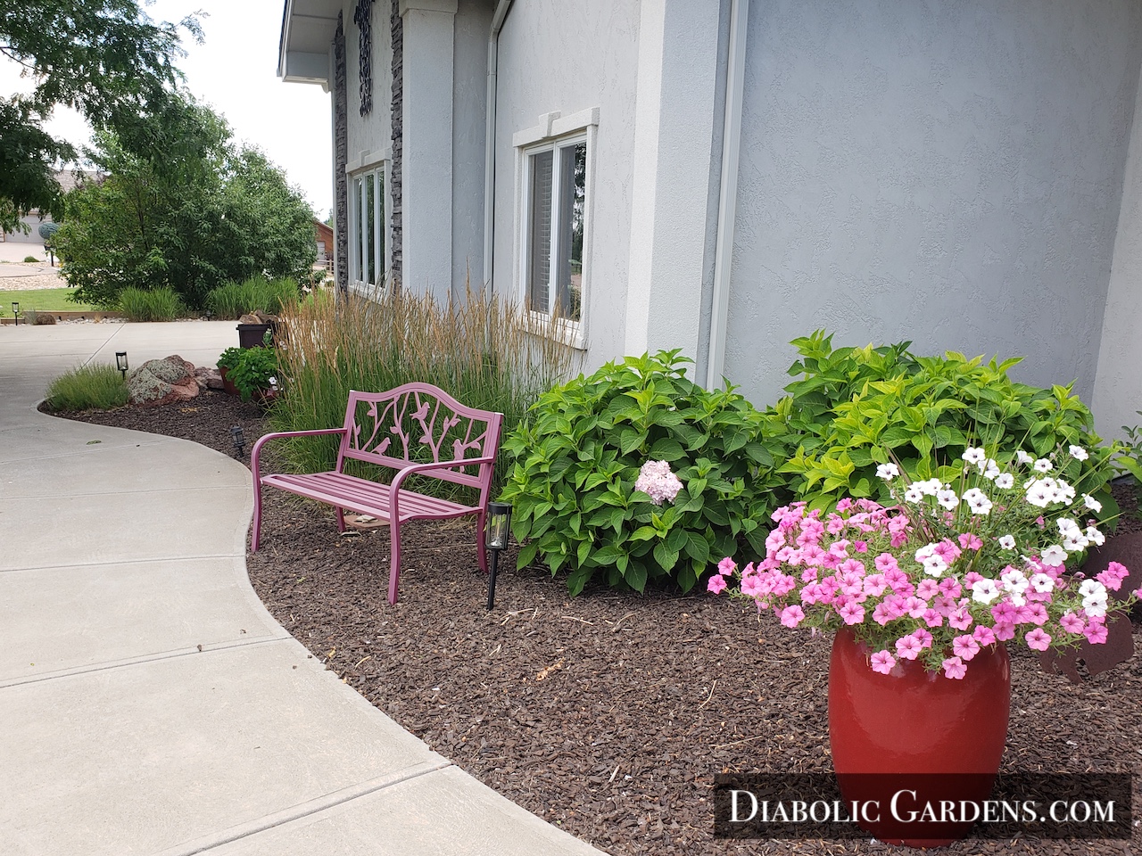 DGF Linda - cute landscaping west of walk path in front yard with bench