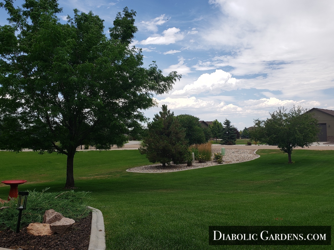 DGF Linda front NE trees