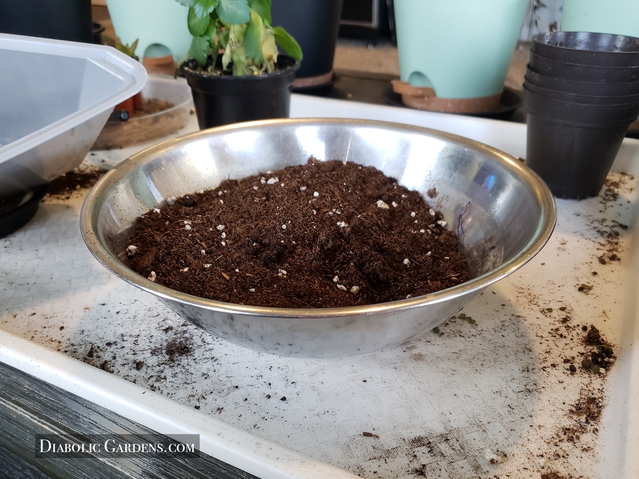 dirt bowl