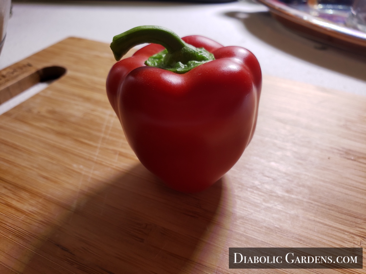 Adorable Mini Bell Pepper