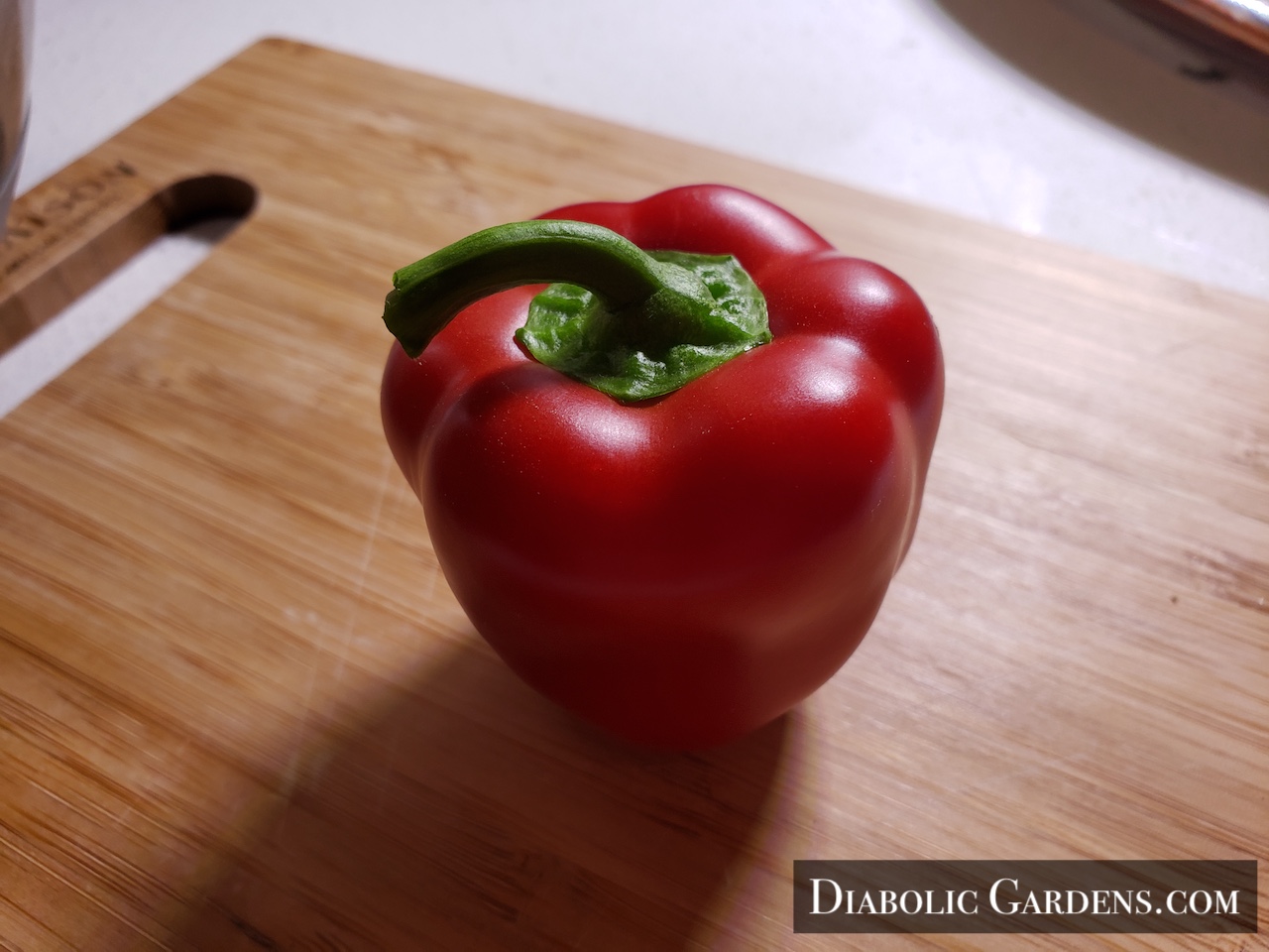 Red Mini Bell Pepper