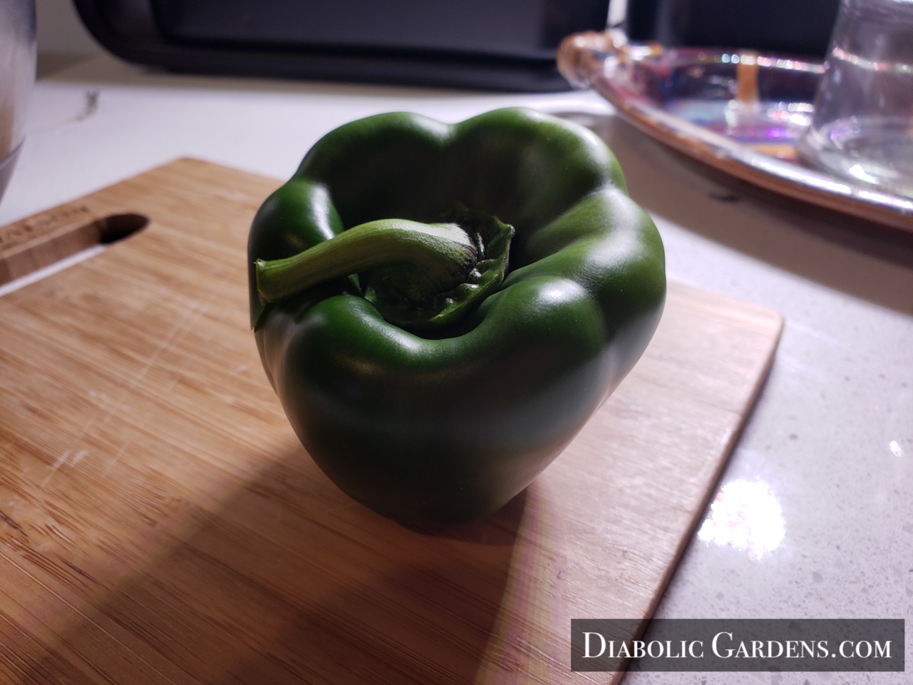 Derpy Green Mini Bell Pepper