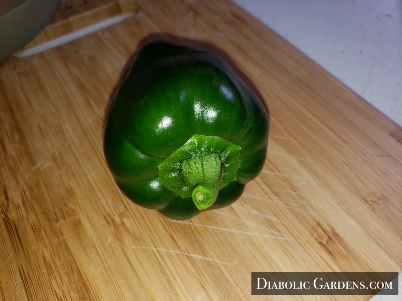 Green Mini Bell Pepper