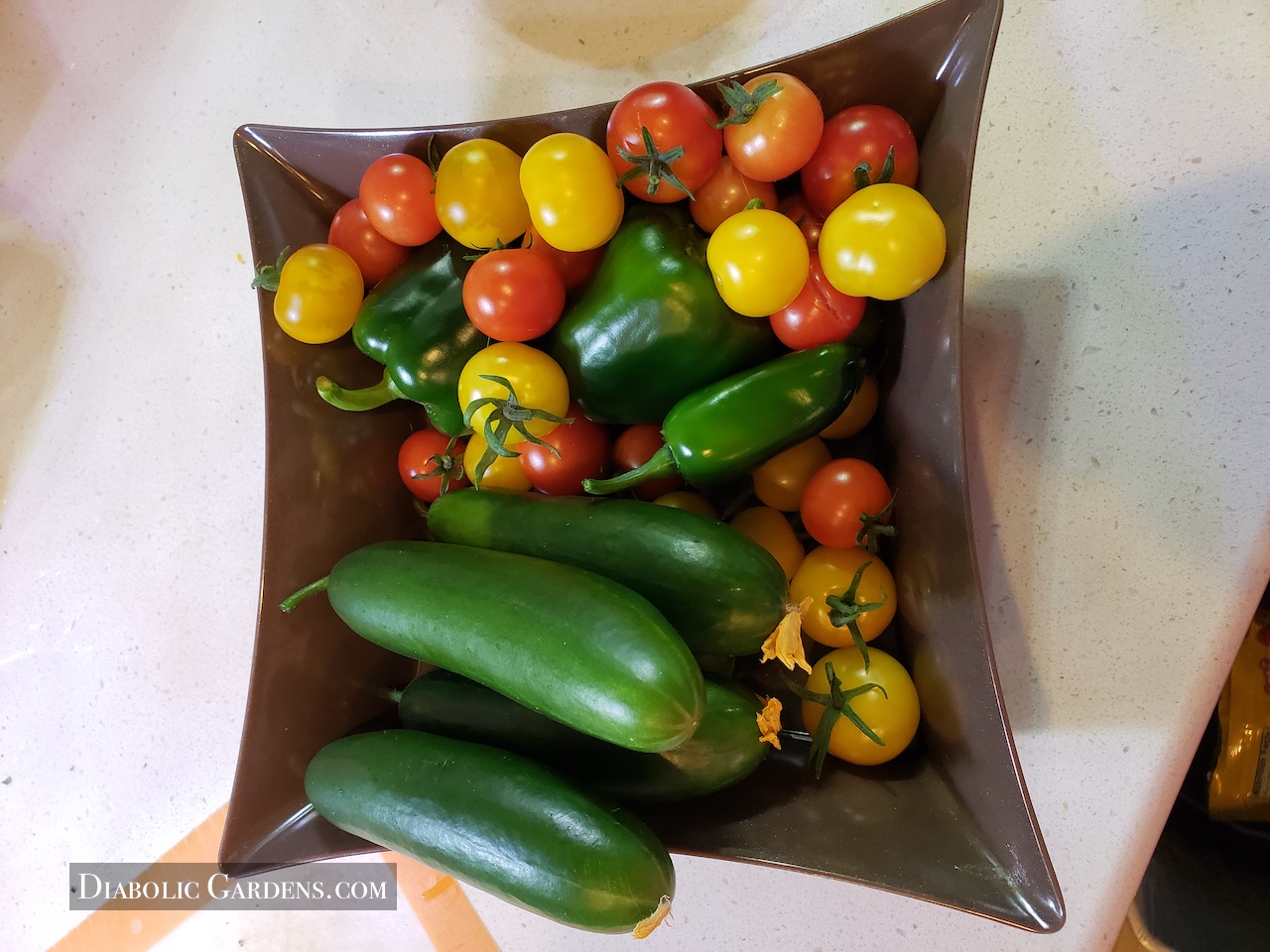gardens indoor crop harvest