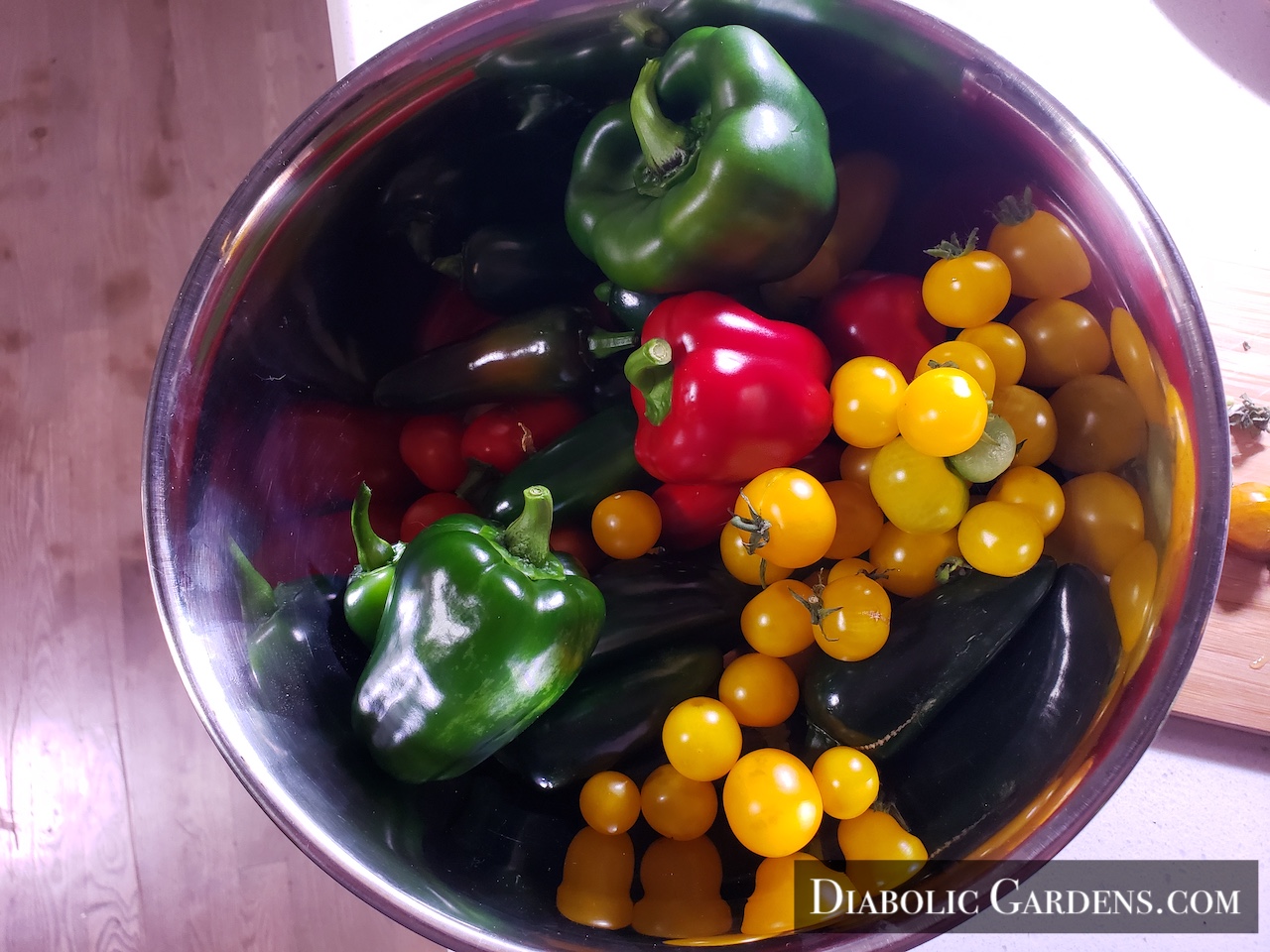 Harvested vegetables