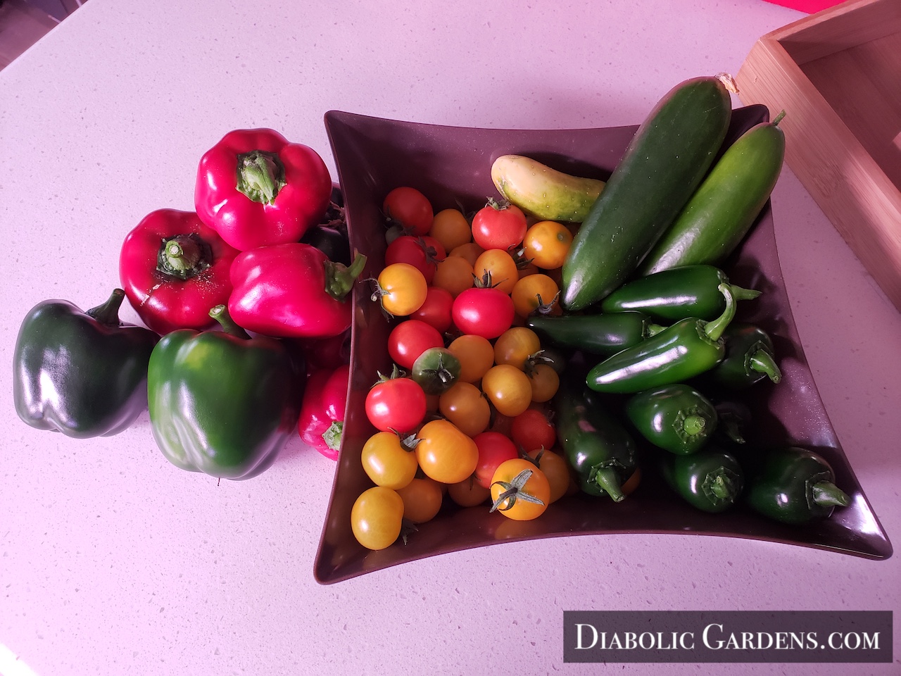 garden harvest