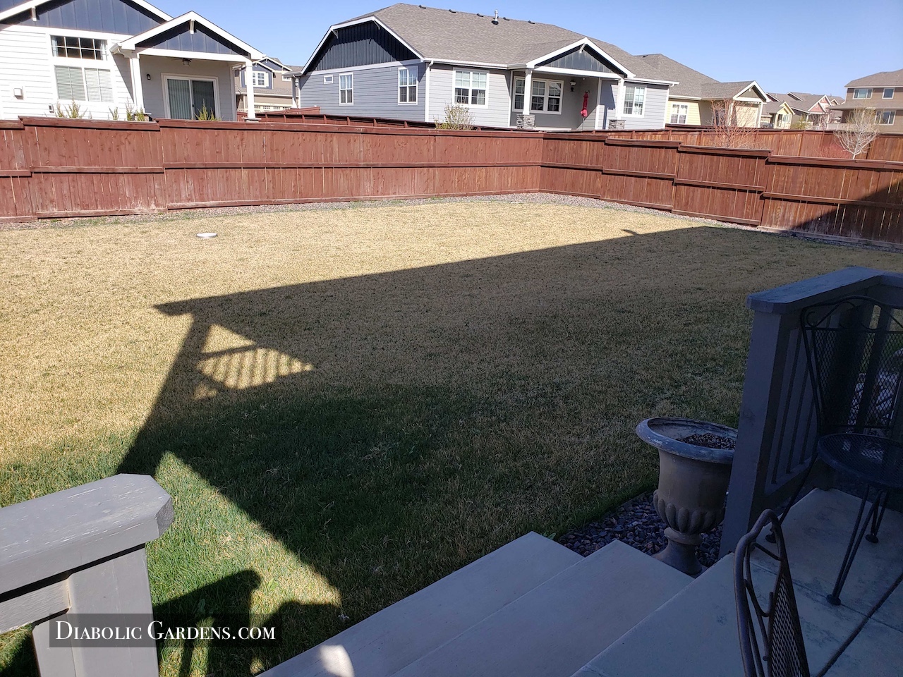 backyard yucky