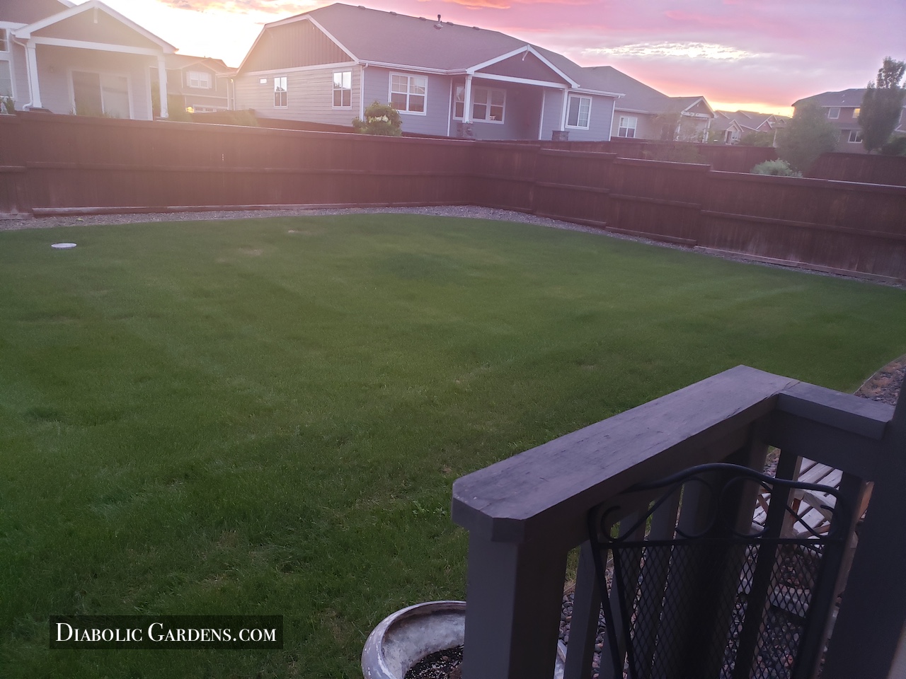 outdoor backyard north