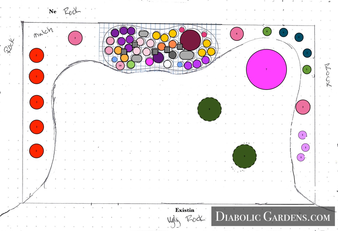 Backyard layout color draft