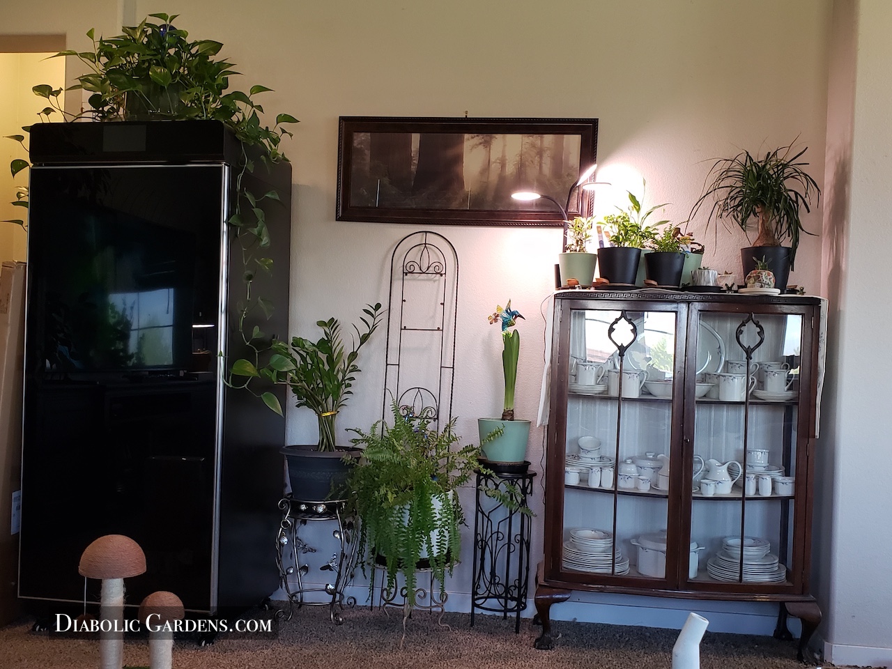 landscape living-room nook