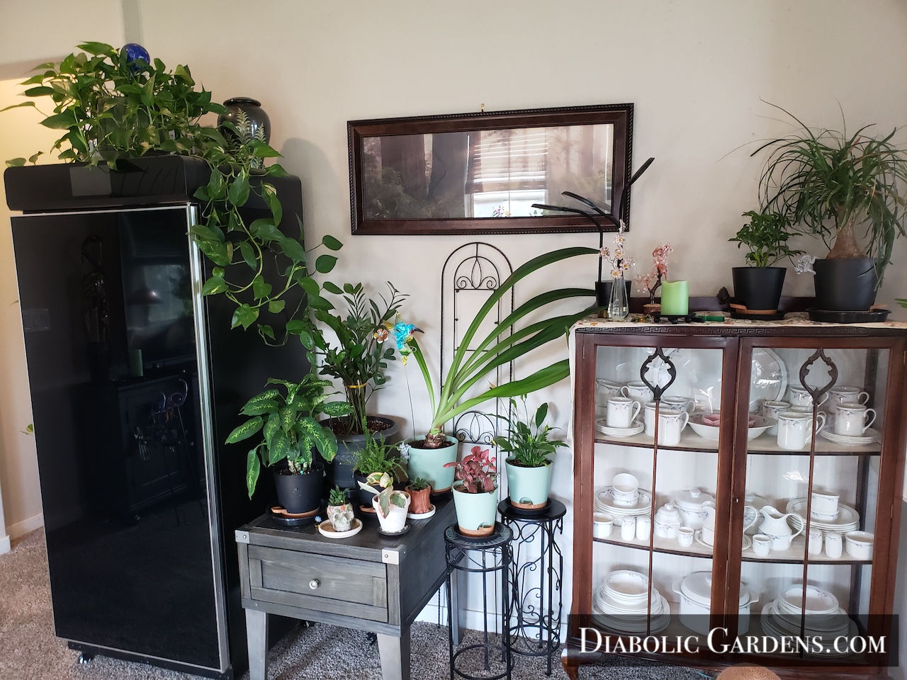 Living room plant wall